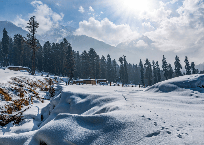 Kashmir tour package 5 Nights / 6 Days