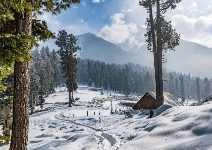 Gulmarg winter snow tour package 7 nights 8 days