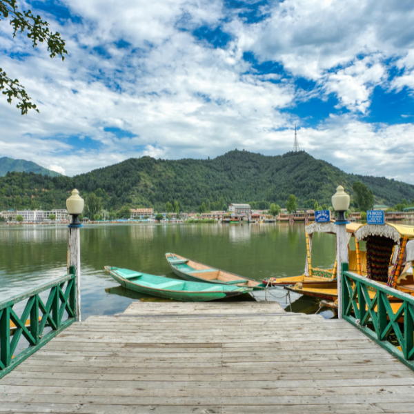 Shikara Ride on Dal Lake