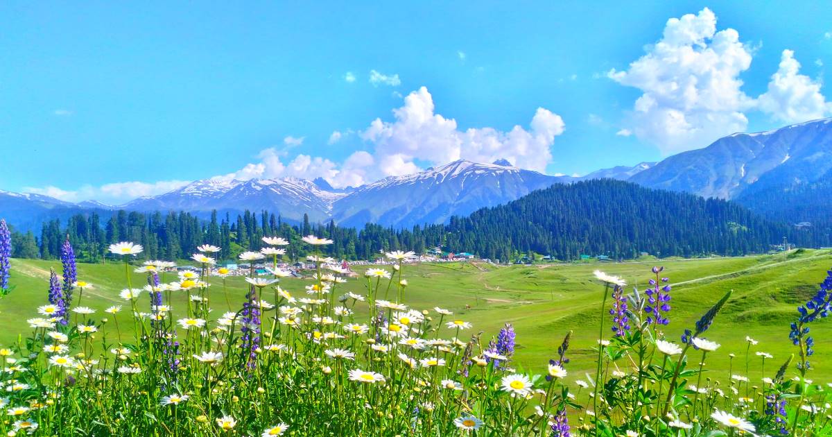Gulmarg
